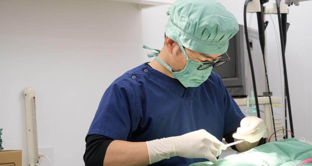 症例紹介の写真